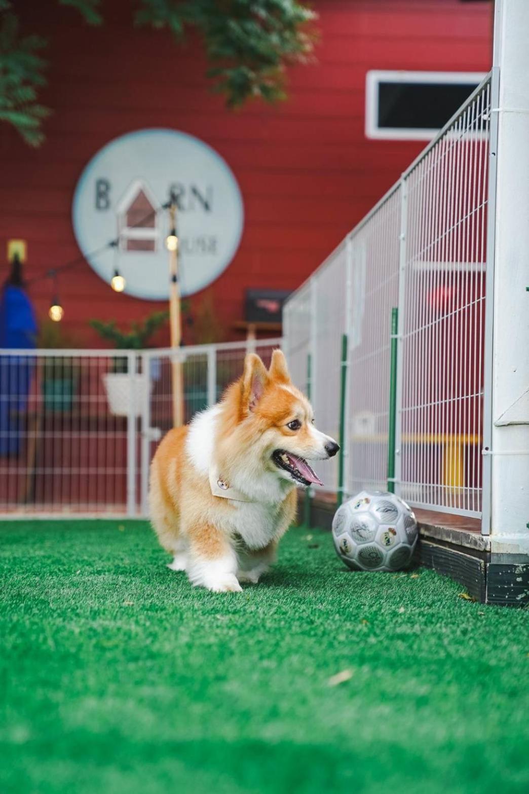 Vila Barn House Pet Friendly Pong Talong Exteriér fotografie